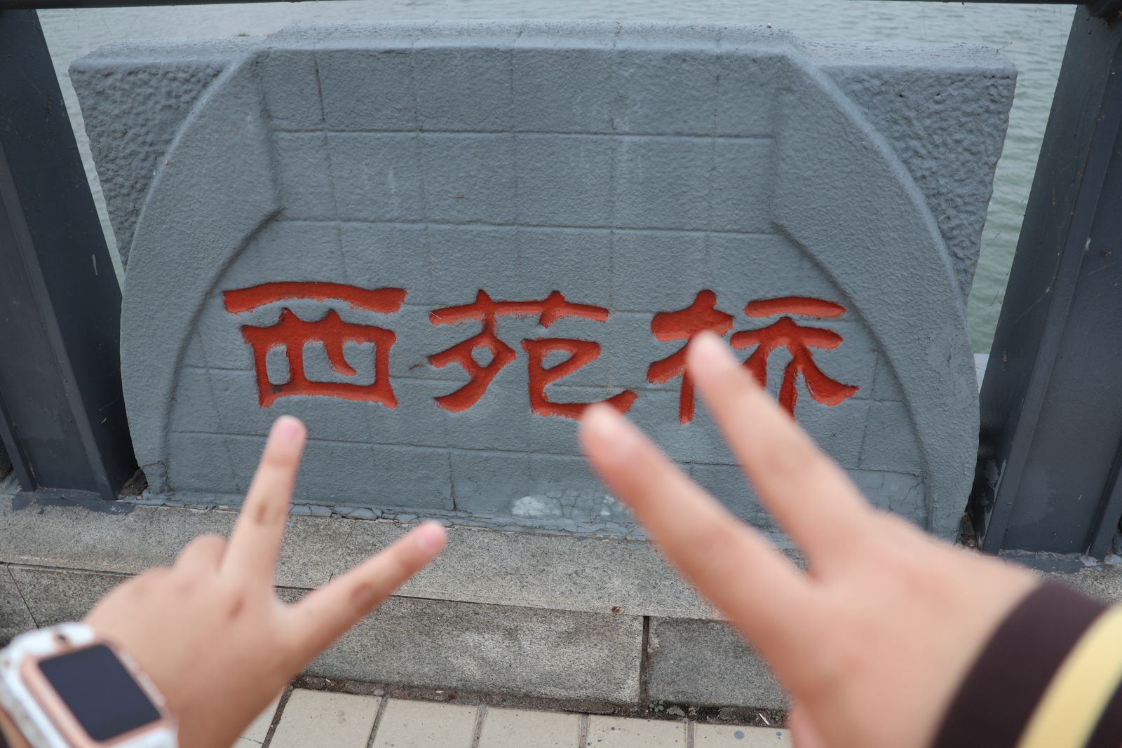 西苑桥照片5
